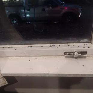 I was charged 8.68 to eat around dead flies