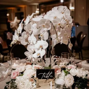 Amazing centerpieces highlighting phalaenopsis orchids!