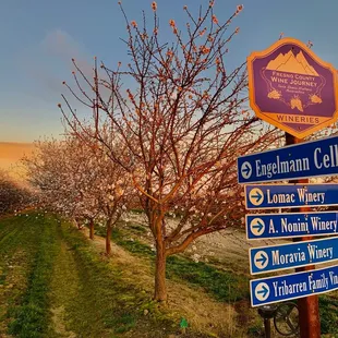 a road sign in the foreground