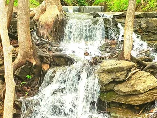 Parkville Nature Sanctuary