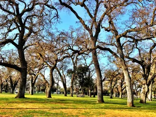 Oak Park