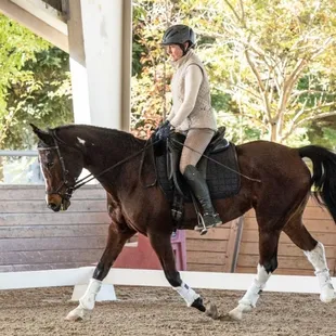 Valley Oaks  Mounted Biomechanics Clinic