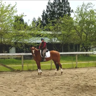 Loving this mare! (Ginger)