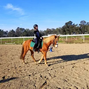 Topper our newest lesson pony with Natalie.  Both doing great!