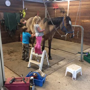 Saint Nick our lesson pony getting a thorough grooming!