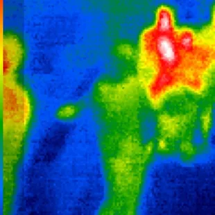 Our tour guide was NOT giving off a heat signature! ...hmmm...