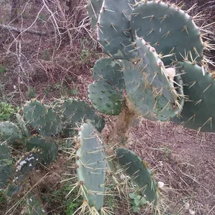 Eco Nature Experiences specially designed for families