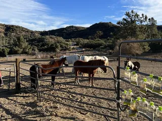 Running Horse Ranch