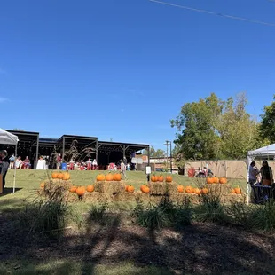 Fall Festival!