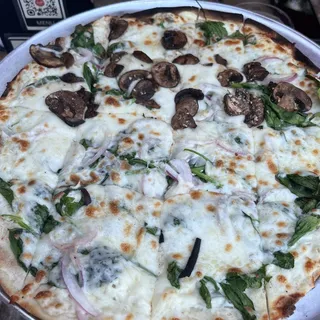 14" Regular Heirloom Spinach