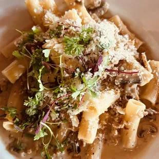 Rigatoni porcini