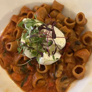 Daily special chili rigatoni with burrata