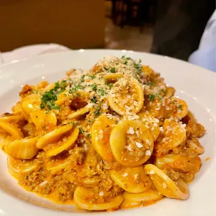 Orecchiette pasta