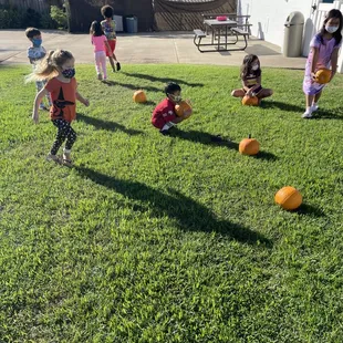 Lush green grass for our pumpkin picking. Keiki Oka aina family- parent participation free classes donations.