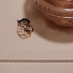 a piece of food left on the counter