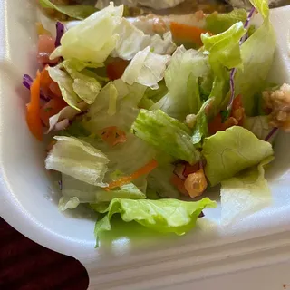 Vegetarian Burrito