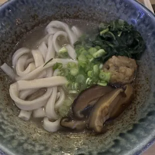 Chicken Udon Noodles