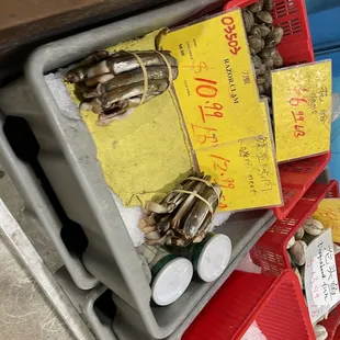 Fresh seafood! They have whole fish here too and crabs, clams, escargot