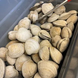 Big clams