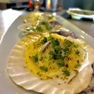 Scallops au gratin (3)