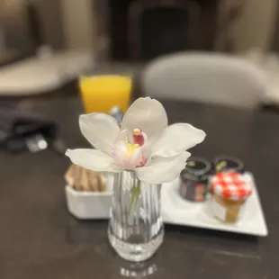 a glass of water with a flower in it