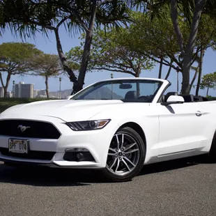 Ford Mustang Eco Boost