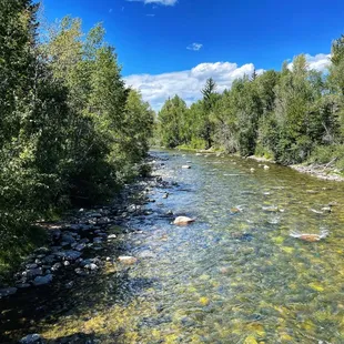 Views along the Blue River