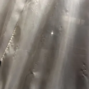 nasty blinds