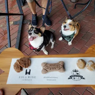 Bring your pups and treat them to one of our Chowcuterie Boards!