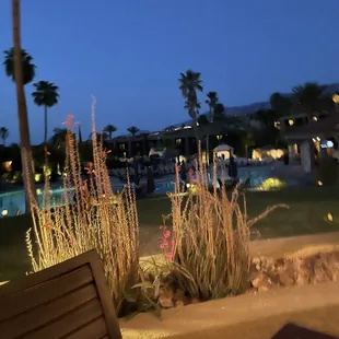 Here's a view from our table overlooking the pool and courtyard.