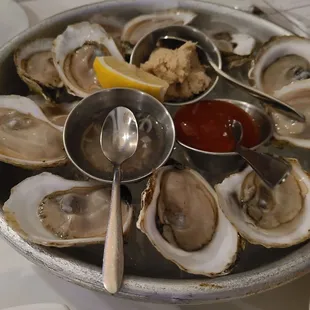 Oysters