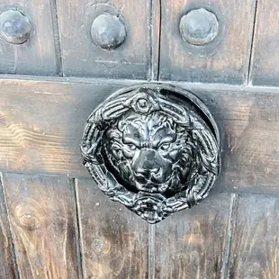 Lions have always had strong symbolism