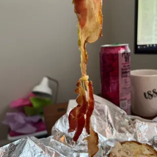 All fatty bacon