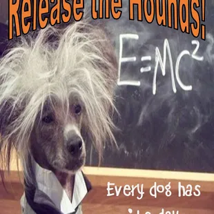 Mad Professor Escape Room Poster