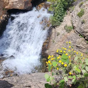 Waterfall 25yrs off the trail