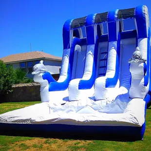 Dolphins water slide