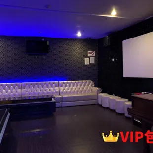 a room with a couch and a projector screen