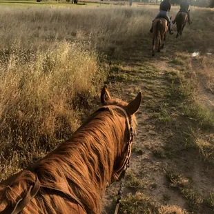 Epona Farms