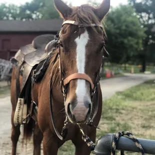 The sweetest Quincy!