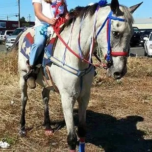 Fourth of July. Last parade for Fergus.