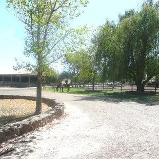 Large Picnic Areas