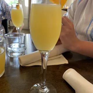 Mimosa