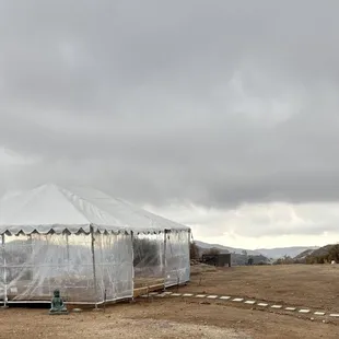 frame tent with clear side walls