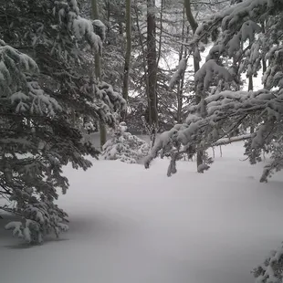 Skiing at Sandia Ski Area at the top of the Sandia Mountains in New Mexico