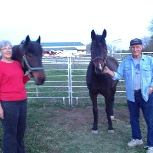 Horse motel guests and their horses settling in.