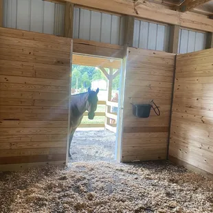 Wyatt taking a break from his visitors