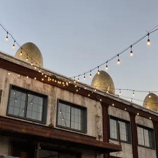 Eggs on Roof