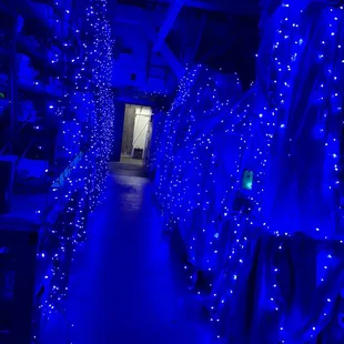 Hallway. Lights