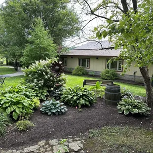 a view of the back yard