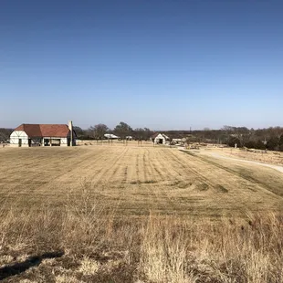 Wide open spaces! Room to run, but no shade.